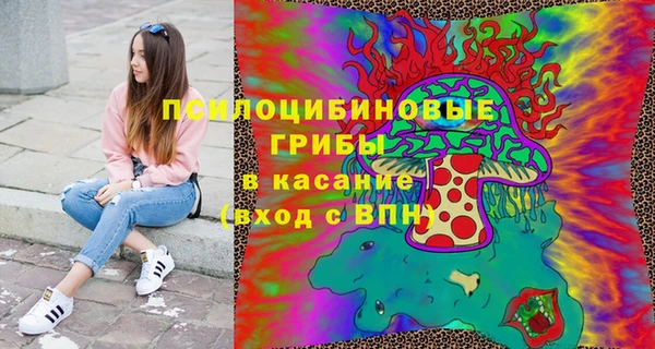 Альфа ПВП Алзамай
